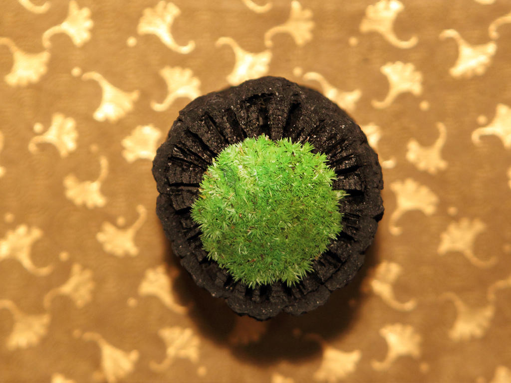 Hotel Asaya Nikko Esterno foto A green Starburst